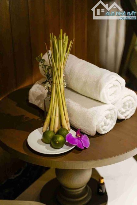⭐️⭐️⭐️⭐️⭐️PHỐ CỔ HỘI AN⭐️ VILLA SIÊU HOT VIEW SÔNG⭐️CHỈ NHỈNH 18TY⭐️⭐️⭐️⭐️⭐️ - 10