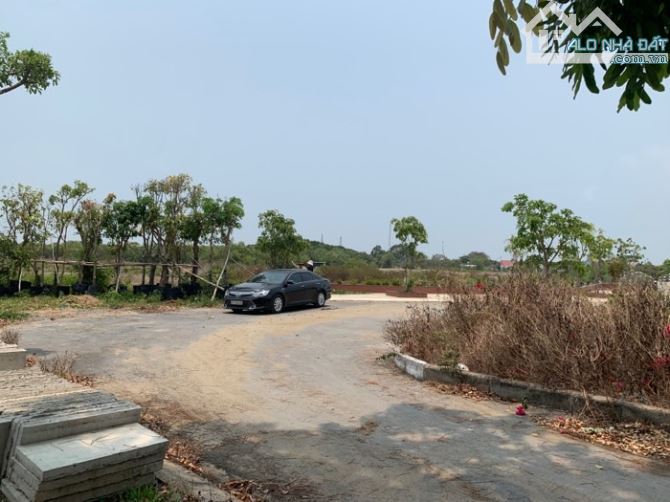 Bán Nhanh Đất Lý Nhơn Cần Giờ TPHCM 62 ha Chỉ 220 Tỷ - 1