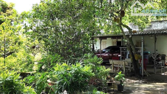 🇻🇳CCDV-MS.T4 - Bán đất VIP mặt tiền đường Chu Mạnh Trinh p Tam Thắng tp HCM. Giá 17.5 tỷ - 1