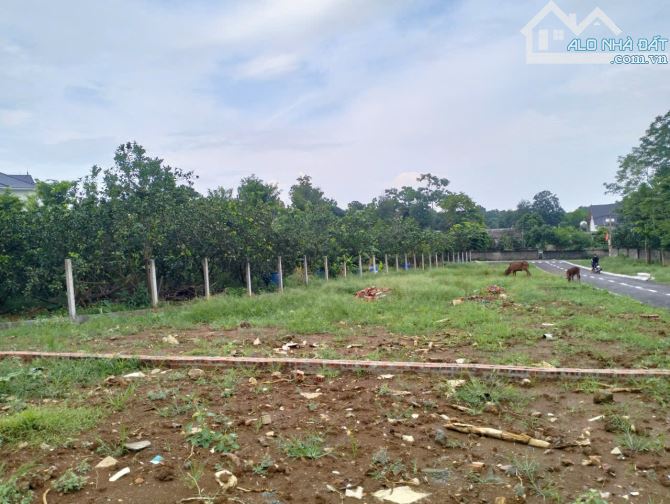 1,55 tỷ sở hữu 300m2 mặt tiền 20,6m bám đường nhựa vào, đất ở Ba Trại, Ba Vì - 1