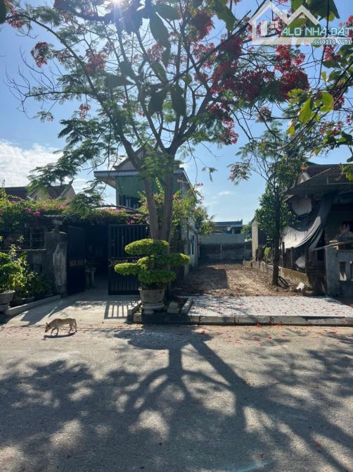 Bán Đất Dưỡng Mong - Cách Tỉnh Lộ 10 Chỉ 30M An Cư Đầu Tư - 1