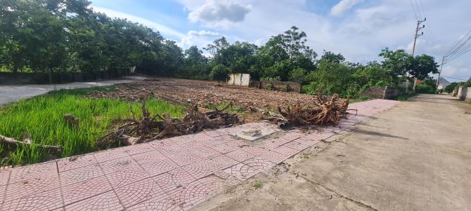 Bán lô đất 802m² thôn Núi 1, Việt Tiến  viêt yên bắc giang ( bắc ninh mới ) – 300m² thổ cư - 1