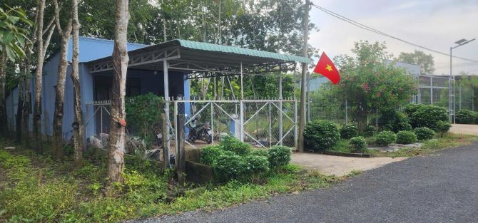 BÁN NHÀ MT ĐƯỜNG NHỰA NGAY KHU SAFARI, GIẢ RẺ CẦN BÁN GẤP - 1