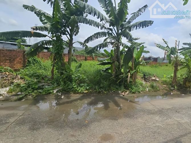 Đất Vuông đường xe tải 961m2 – Vườn Lài Q12 - 1