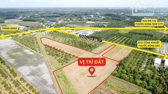 1,3 mẫu ngay khu đô thị, đường nhựa. KCN 3200ha. 9 tỷ - 1