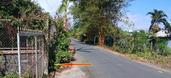 Lô đất trồng bưởi  Diện tích 1.700m2. Lộ Xoài giáp ranh Mỹ Tho. Cách QL50 chỉ 1,5 km. - 1