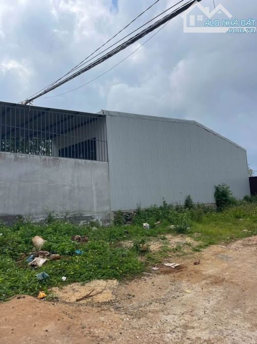 Đất TPHCM 250m2 100m thổ cư sang tên cho khách thiện chí. (Có thương lượng ) 220 triệu - 1
