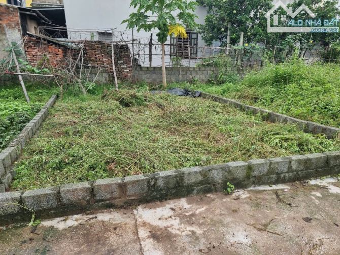 💥 SIÊU ĐẸP ĐẤT 👉 Đào Xá, Thắng Lợi, Thường Tín - HÀ NỘI 👉 Gần Quốc LỘ 1A  ✅ Diện tích 4 - 1