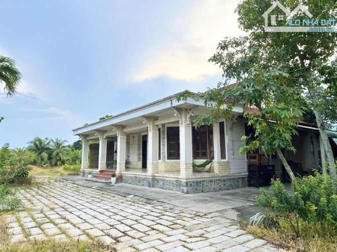 Đất Biệt Thự DT: 2992m2 sổ hồng riêng bao sang tên. - 1