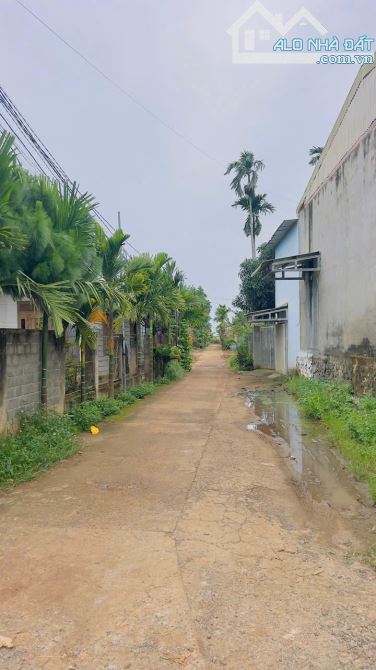 BÁN ĐẤT ĐƯỜNG LƯƠNG ANH QUANG – PHƯỜNG TÂN LẬP – ĐẮK LẮK 🎯 - 1