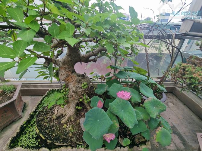 Thái Thịnh, 50m, 5ngủ, Thang máy, Ô tô, Kinh doanh đỉnh, Nội thất cao cấp, Sổ vuông nở hậu - 13