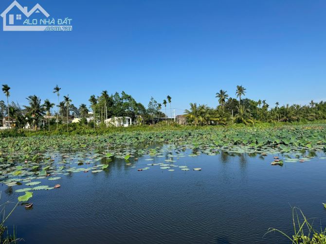 CHÍNH CHỦ CẦN BÁN LÔ ĐẤT ĐẸP TẠI ĐIỆN BÀN, GIÁP RANH ĐÀ NẴNG - DIỆN TÍCH 349M2 - 6