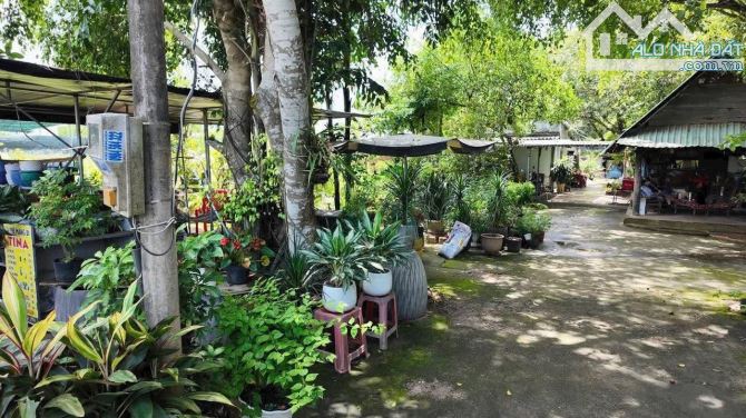 🇻🇳CCDV-MS.T4 - Bán đất VIP mặt tiền đường Chu Mạnh Trinh p Tam Thắng tp HCM. Giá 17.5 tỷ - 2
