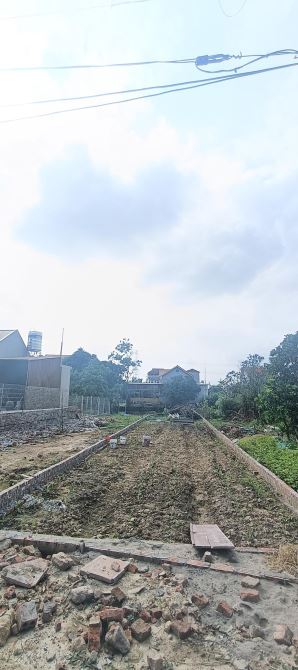 BÁN ĐẤT THÔN PHƯƠNG MỚI – PHÚ HÒA – LƯƠNG TÀI – BẮC NINH, 121M², MT 4.8M,   Mảnh đất siêu - 2