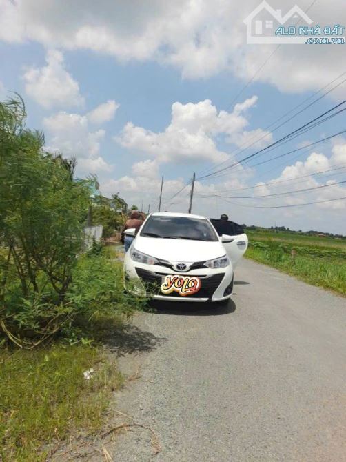 Quá rẻ, 700m2 đất trồng câu lâu năm 12 x 41m View Sông chỉ 700tr - 2