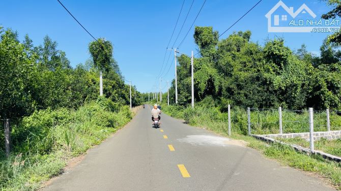 BÁN ĐẤT XÃ ĐẤT ĐỎ BÀ RỊA VŨNG TÀU HỒ CHÍ MINH - 2