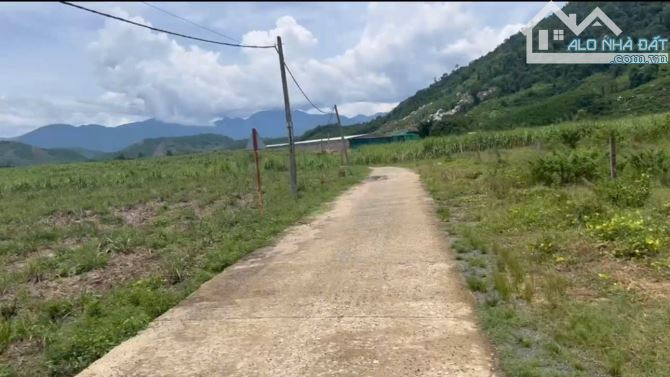 Cần bán lô đất Thôn Suối Lách, Xã Khánh Trung-Khánh Vĩnh, DT 1.2 Ha mặt đường bê tông - 2