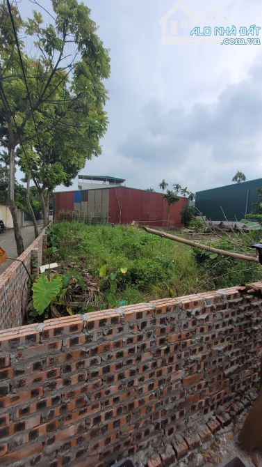 Bán đất Tranh Khúc, Duyên Hà_63m2_ ngõ ô tô 7 chỗ_ 4.15 tỷ - 2