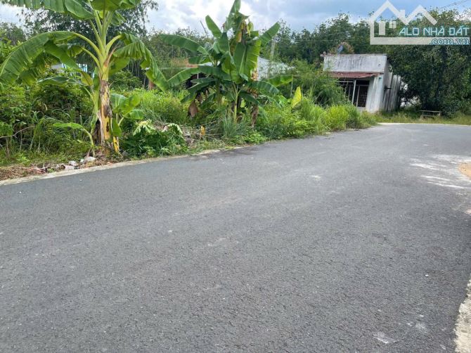 Đất Tp HCM siêu rẻ đường nhựa dân cư đông - 2