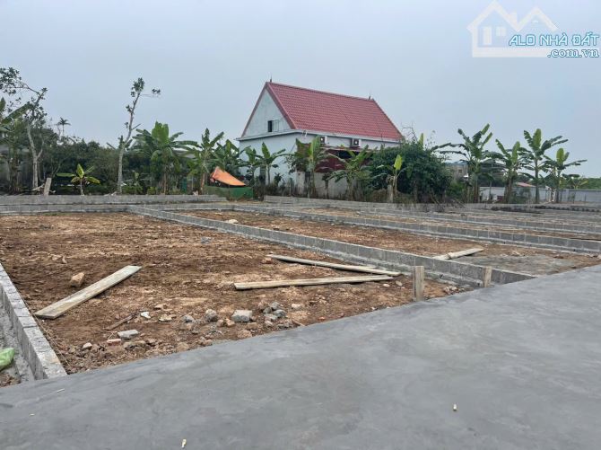 Bán đất tại Quang Hưng, An Lão, Hải Phòng, giá cực chất, 82m2 chỉ 595 triệu, ngang rộng đư - 2
