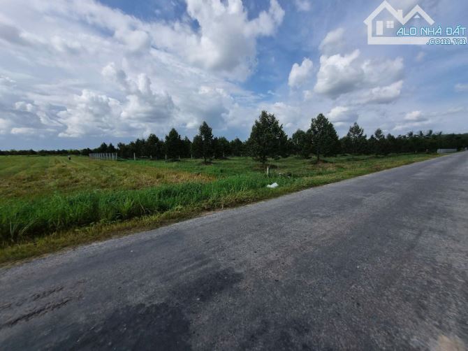 1,3 mẫu ngay khu đô thị, đường nhựa. KCN 3200ha. 9 tỷ - 2