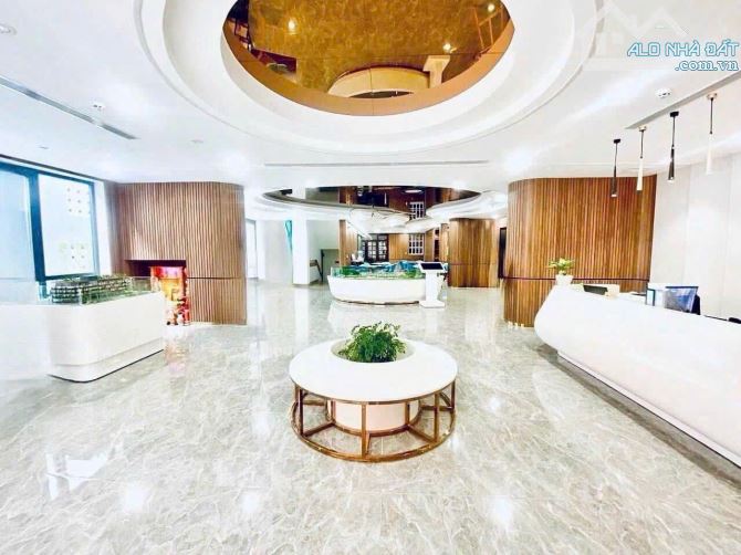 BÁN ĐẤT XÂY VĂN PHÒNG CAO TẦNG NGUYỄN DU - QUẬN 1 - 2