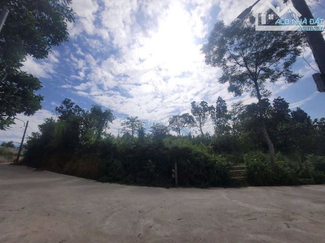 📌📌📌LÀM VIỆC TRỰC TIẾP GIÁ TỐT !!!.Bán đất trồng cây lâu năm Xã Hòa Ninh - 2