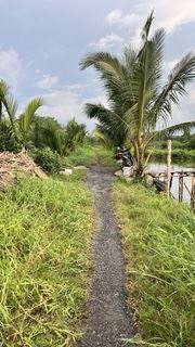 Bán lô đất nông nghiệp thuộc quy hoạch đất ở nông thôn mới với DT 3963m2 giá 1.6 tỷ/1000m2 - 2