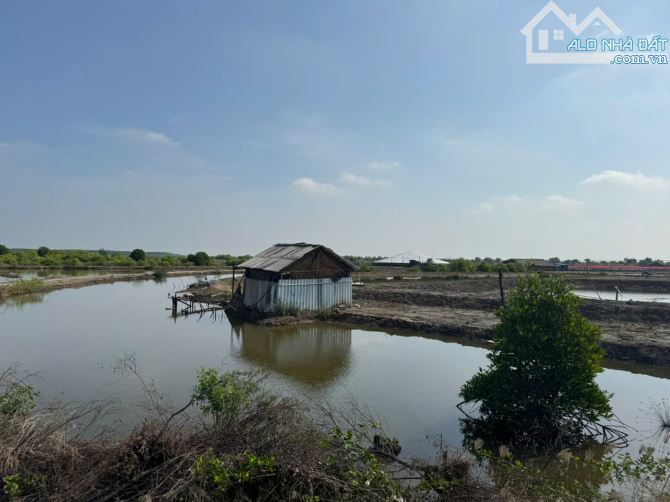 Bán Nhanh Đất Lý Nhơn Cần Giờ TPHCM 62 ha Chỉ 220 Tỷ - 3