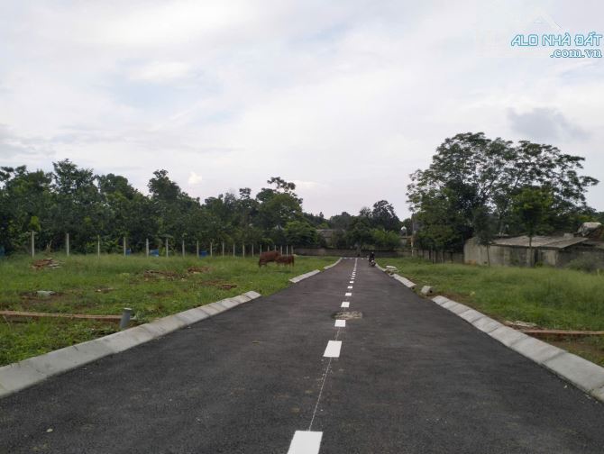 1,55 tỷ sở hữu 300m2 mặt tiền 20,6m bám đường nhựa vào, đất ở Ba Trại, Ba Vì - 3