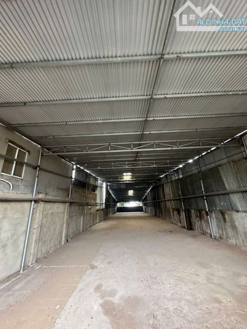 xt302 ➡️ CHO THUÊ XƯỞNG P- TÂN HOÀ -BIÊN HOÀ - 3