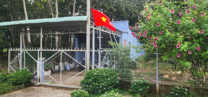 BÁN NHÀ MT ĐƯỜNG NHỰA NGAY KHU SAFARI, GIẢ RẺ CẦN BÁN GẤP - 3