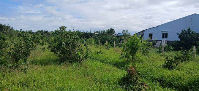 Lô đất trồng bưởi  Diện tích 1.700m2. Lộ Xoài giáp ranh Mỹ Tho. Cách QL50 chỉ 1,5 km. - 3