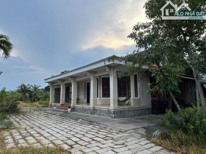 Bán đất biệt thự vườn dường An Thạnh 38 Thuận An HCM City giá chỉ 7,2 triệu/M - 3