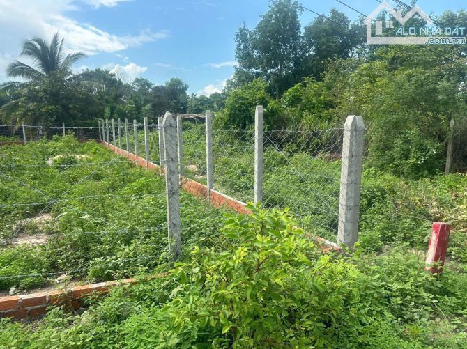 NỢ CÁ ĐỘ CHỦ CẦN BÁN GẤP LÔ ĐẤT 153M2 CHỈ 420 TRIỆU MẶT TIỀN ĐƯỜNG BA SA PHƯỚC HIỆP CỦ CHI - 3