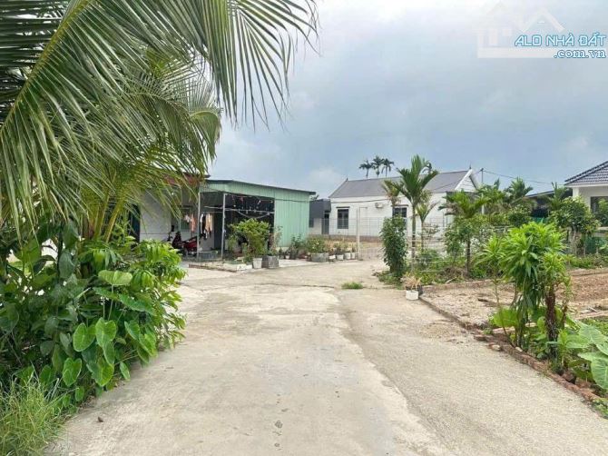 53,3m2 đất Lão Phong, Kiến Hải, Tp Hải Phòng - 3