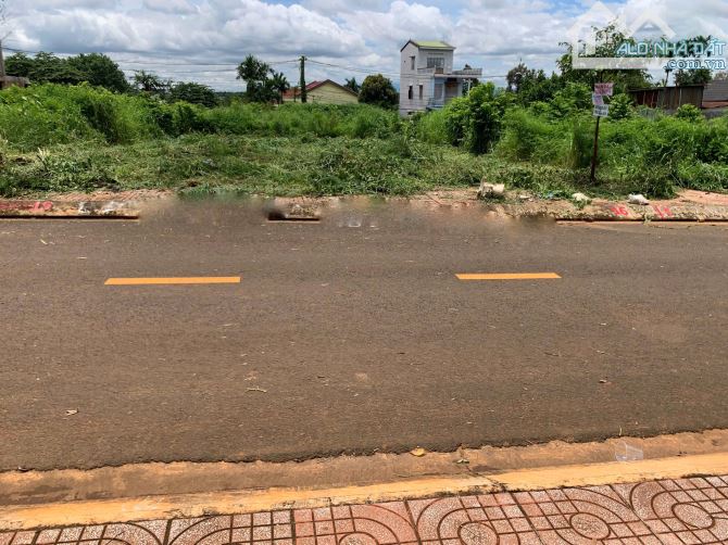 🏡 BÁN ĐẤT ĐẤU GIÁ – LÊ VỤ, KHU MỚI TDP 4, PHƯỜNG TÂN AN, TP. BUÔN MA THUỘT, ĐẮK LẮK - 3