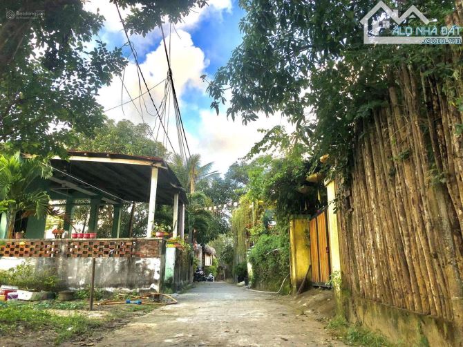 Bán Đất Ngay Bãi Biển An Bàng Hội An - Cách Biển Chỉ Vài Bước Chân - 3