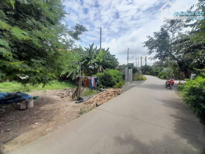 Hàng thơm, 310m2 đất thổ cư đường xe tải tránh nhau, 1.1 tỷ - 4