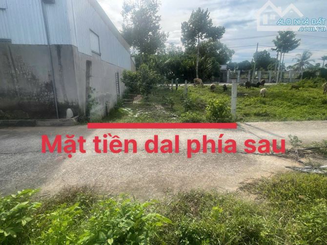 Cần bán nền 2 mặt tiền Mậu Thân và mặt tiền dal phia sau - 4