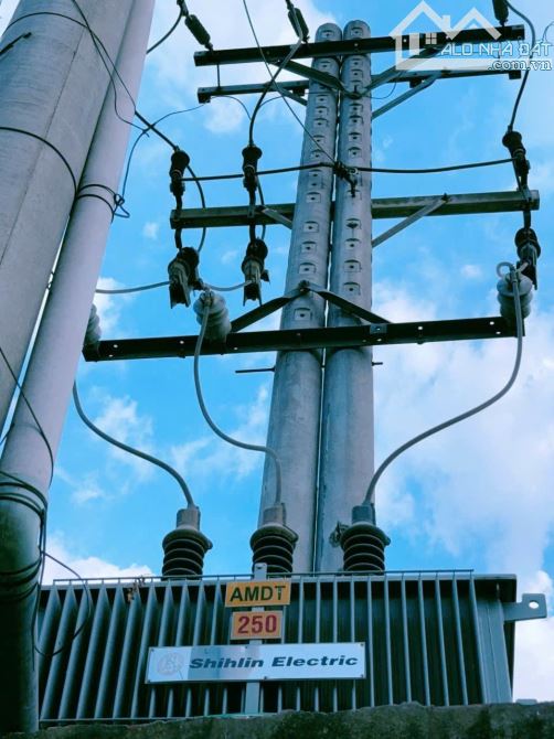 Cho thuê xưởng Tổng Khuôn Viên 2200m2 Có Bình Điện Riêng 250Kva Thuộc Tân An_Vĩnh Cửu - 5