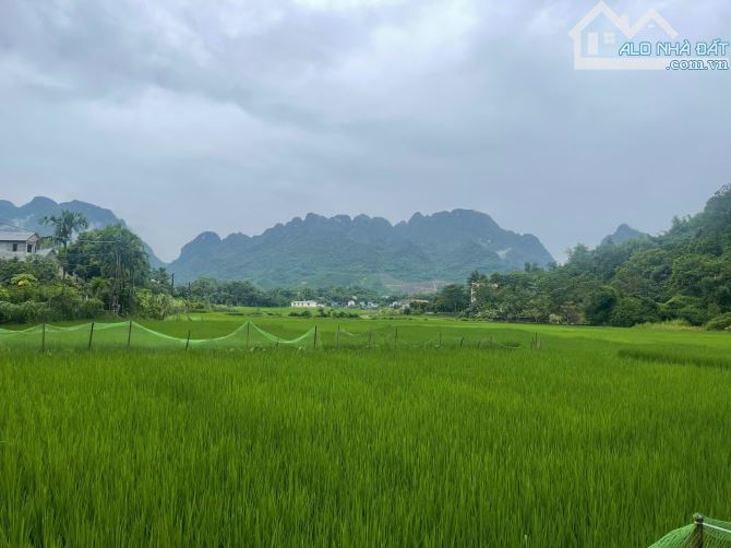 Hot Hot đất ngay suối Khoáng Kim Bôi Hòa Bình giá cực rẻ 686m cần bán gấp - 5