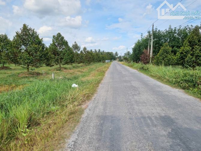 1,3 mẫu ngay khu đô thị, đường nhựa. KCN 3200ha. 9 tỷ - 5