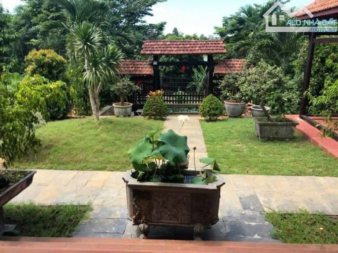 🔥SIÊU BIỆT THỰ SÂN VƯỜN – HÒA VANG – 609M² – CHỈ 5,8 TỶ🔥 - 5
