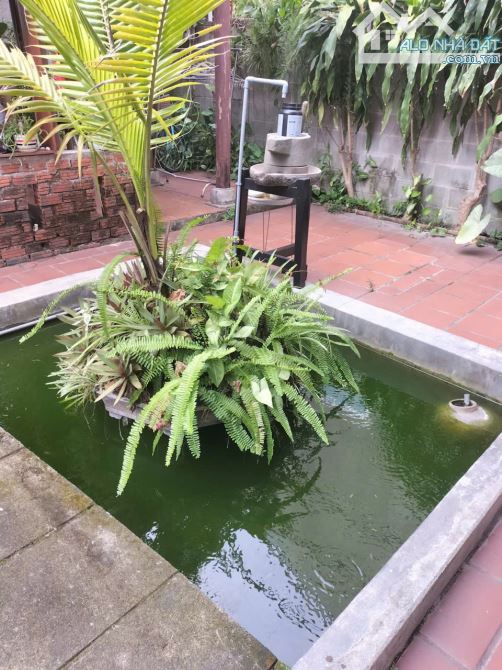 Homestay diện tích 400m2 đất Tống Văn Sương - Hội An - 5