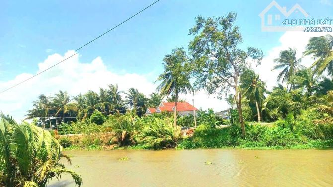 Quá rẻ, 700m2 đất trồng câu lâu năm 12 x 41m View Sông chỉ 700tr - 6