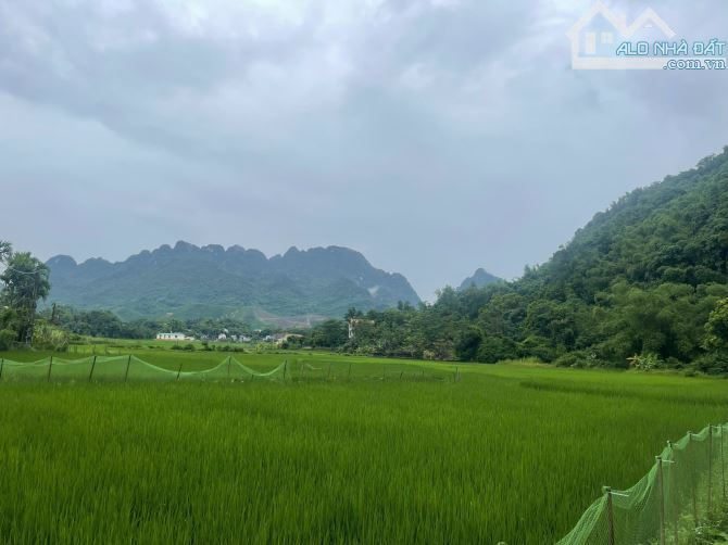 Hot Hot đất ngay suối Khoáng Kim Bôi Hòa Bình giá cực rẻ 686m cần bán gấp - 6