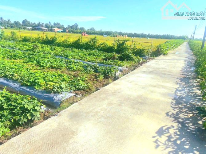 Chỉ 359tr sở hữu 164m2 đất thổ cư đường ô tô nguyễn văn trưng - 6