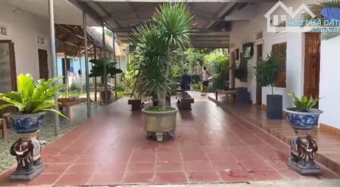 🔥SIÊU BIỆT THỰ SÂN VƯỜN – HÒA VANG – 609M² – CHỈ 5,8 TỶ🔥 - 6