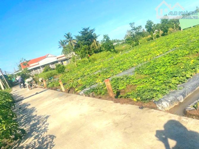 Chỉ 359tr sở hữu 164m2 đất thổ cư đường ô tô nguyễn văn trưng - 7